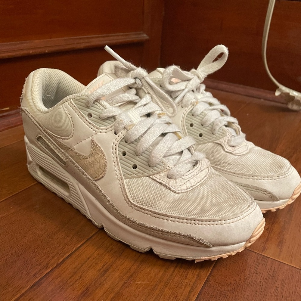 Nike Air Max